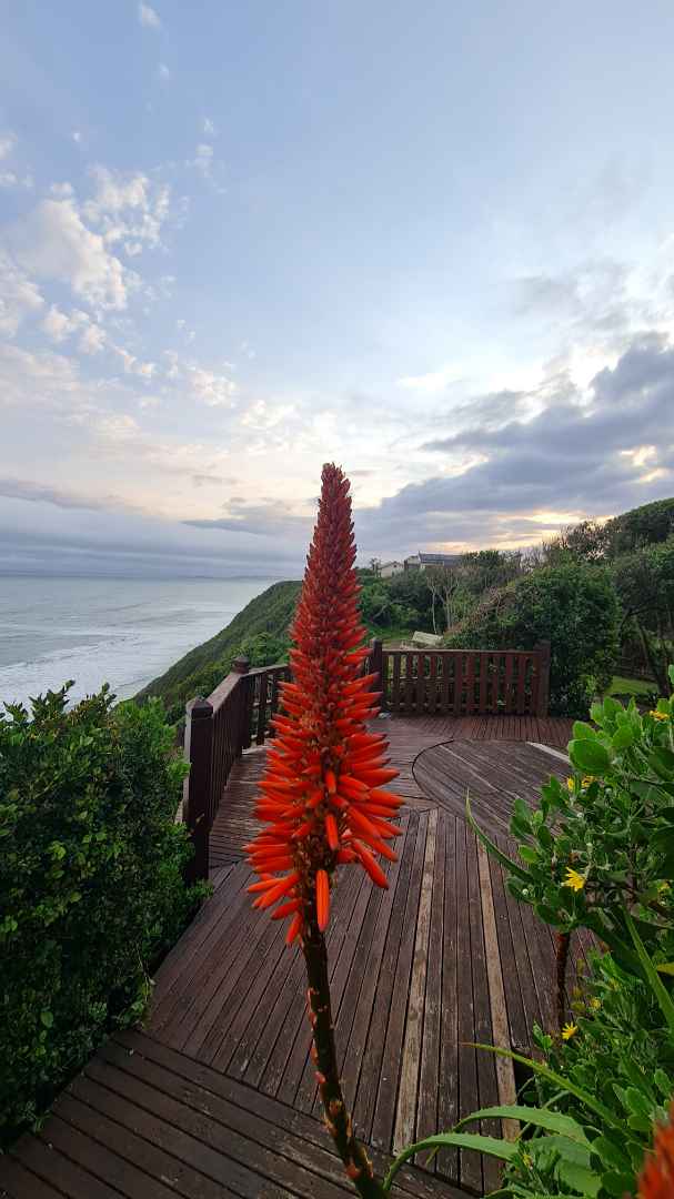 1 Bedroom Property for Sale in Brenton On Sea Western Cape